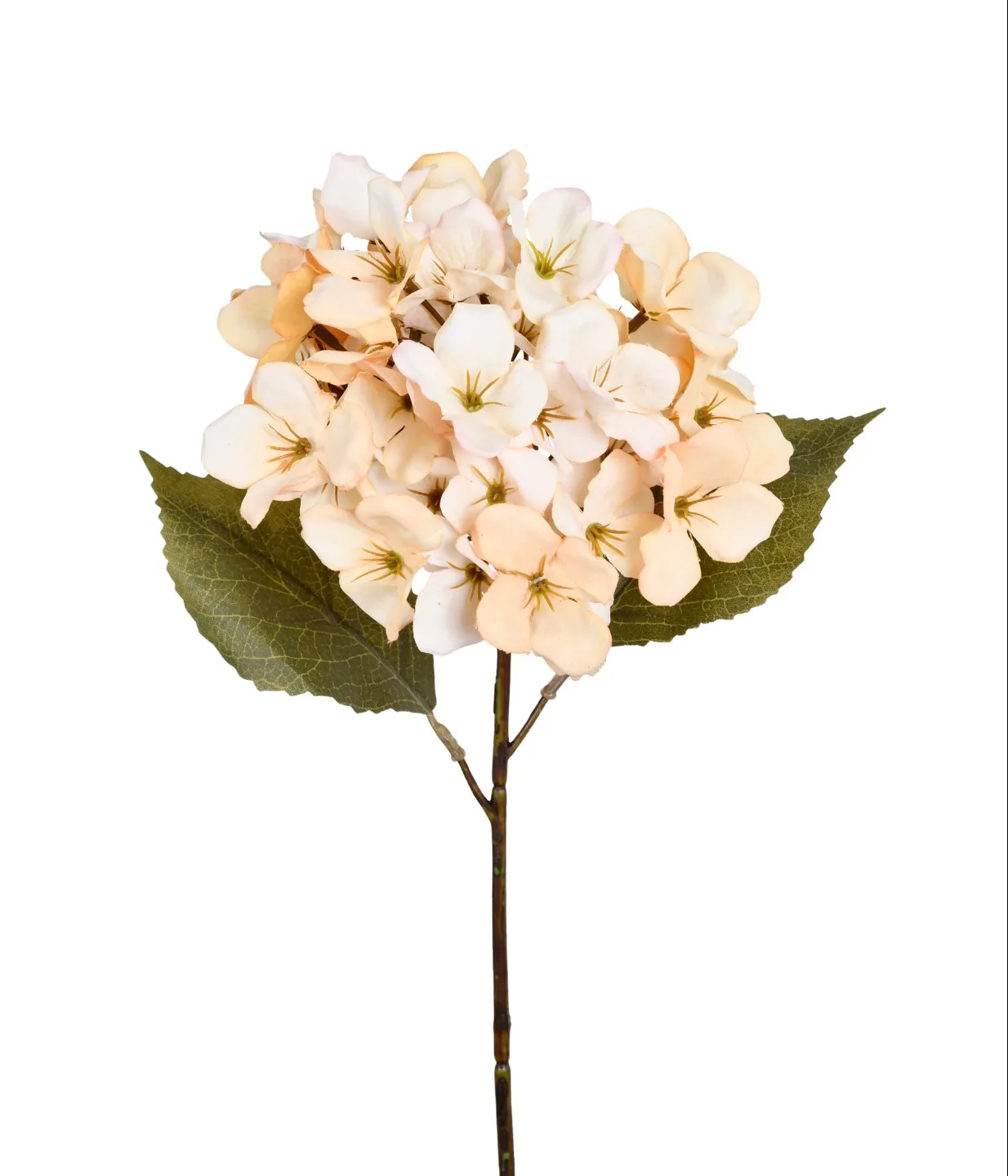 HORTENSIA COM FOLHAS COR CHÁ ARTIFICIAL