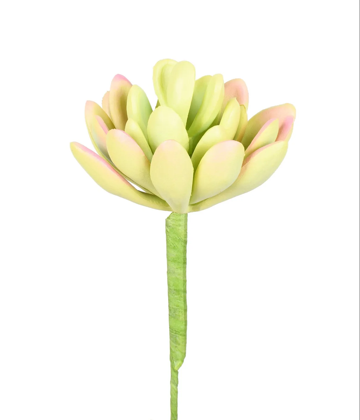 SUCULENTE SEDUM COM ROSA ARTIFICIAL