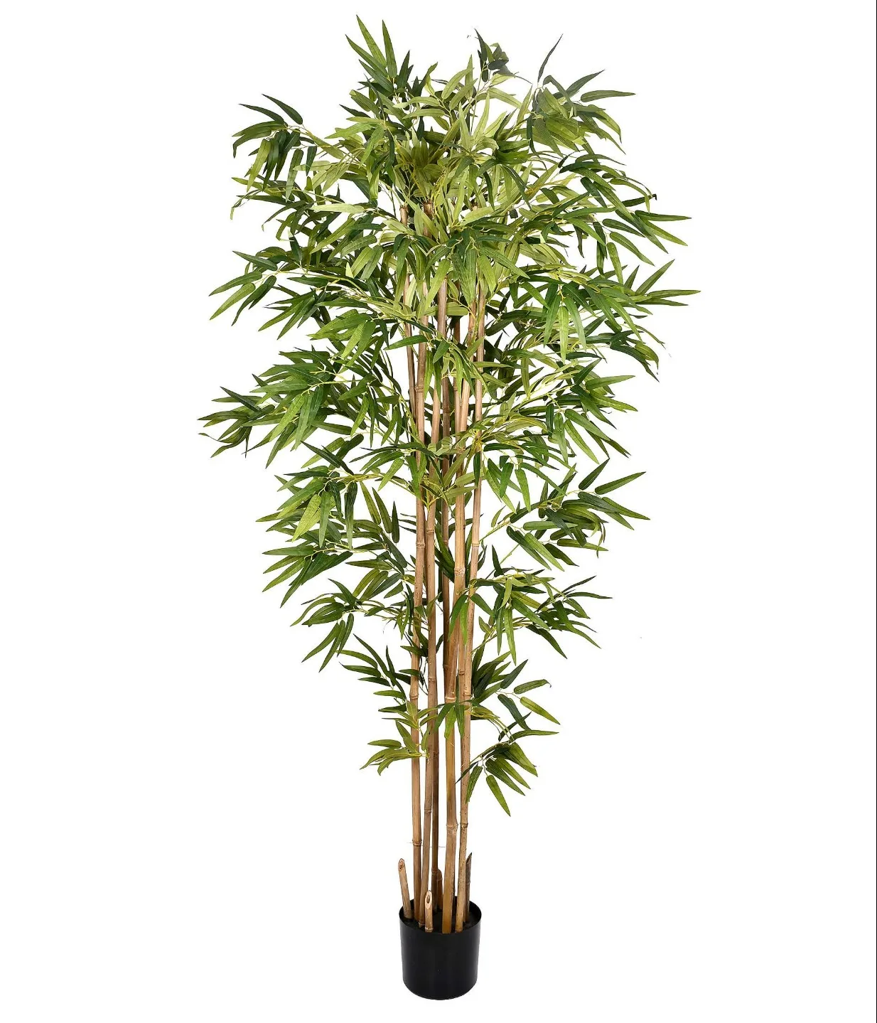 BAMBU TOQUE REAL VERDE ARTIFICIAL